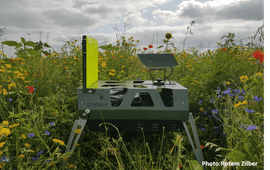 DIOPSIS camera in bloemenveld