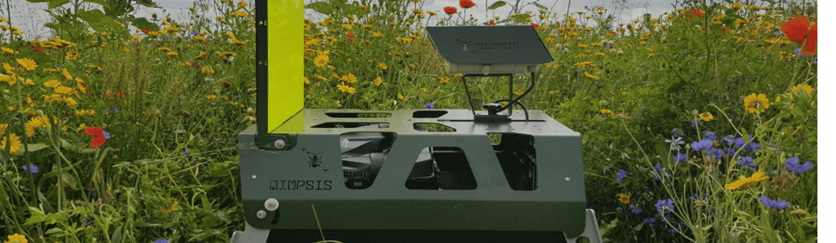 DIOPSIS camera in bloemenveld
