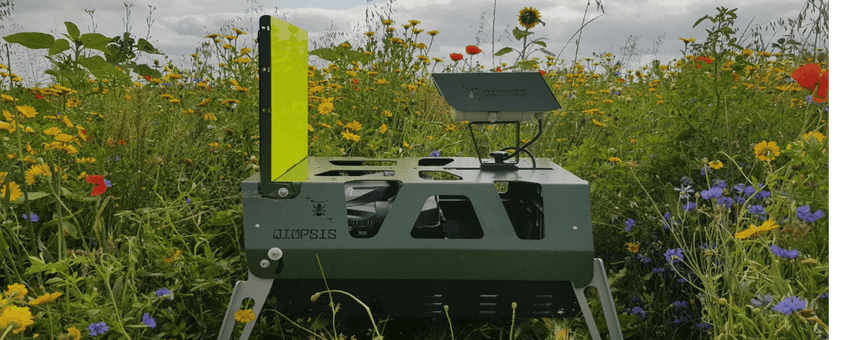 DIOPSIS camera in bloemenveld