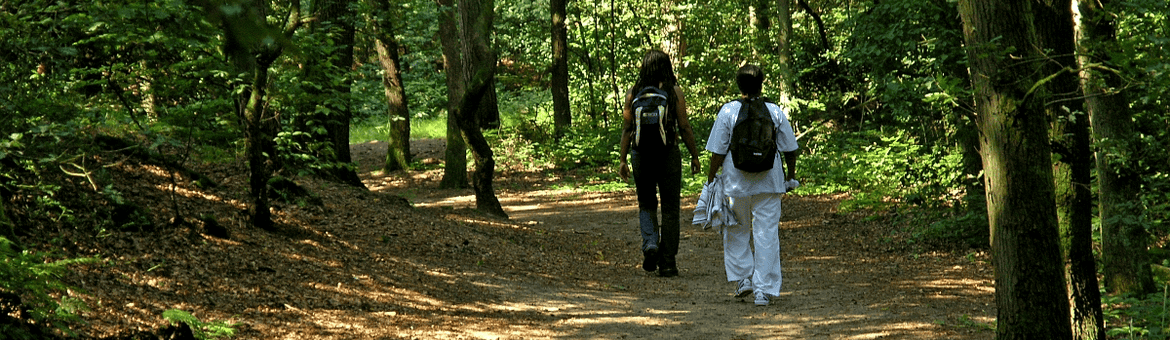 NL, Friesland, Ooststellingwerf, Boschberg