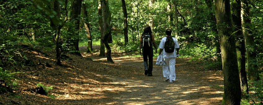NL, Friesland, Ooststellingwerf, Boschberg