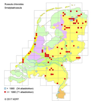 Verspreiding van de Smalplaatrussula