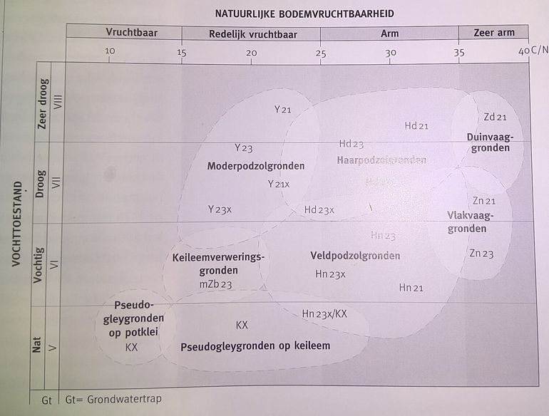 Ecologisch bodemdiagram met op de horizontale as de koolstof-stikstofratio van de bovengrond, op de verticale as de grondwatertrappen en met stippellijntjes in het diagram het 70 procent-betrouwbaarheidsinterval van de bodemeenheden