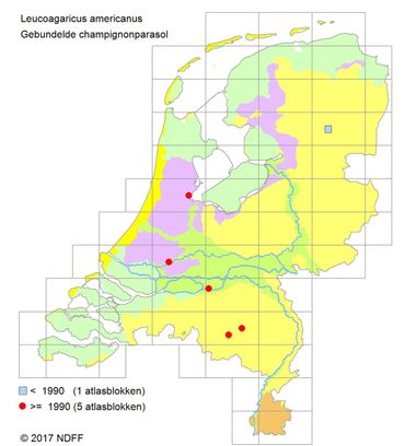 Verspreiding van de Gebundelde champignonparasol