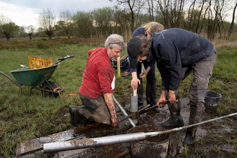 Onderzoekers plaatsen de peilbuizen in de Dommelbeemden 