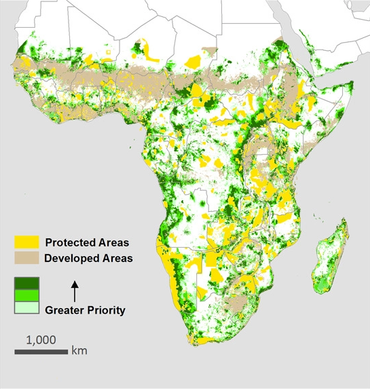 Ruimtelijke prioriteiten voor landbehoud om het uitstervingsrisico in het Afrotropisch gebied te minimaliseren. Gebieden met het donkerste groen zijn gebieden met de hoogste prioriteit om het uitstervingsrisico te minimaliseren bij 17 % landbehoud. Achtereenvolgens lichtere tinten groen vertegenwoordigen gebieden die het uitstervingsrisico minimaliseren bij 30 % en 50 % landbescherming. Bestaande beschermde gebieden die zijn geregistreerd in de Werelddatabase van beschermde gebieden worden geel weergegeven