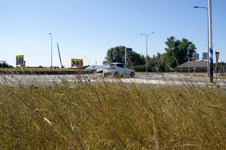 Ecologisch beheer van berm bij rotonde