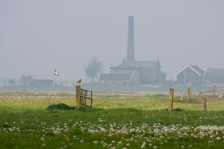 Polder Arkemheen bij Nijkerk met weidevogelreservaat waar extensief geboerd wordt en voor een deel door Staatsbosbeheer wordt beheerd
