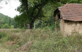 Vlinderen in Servie - primair