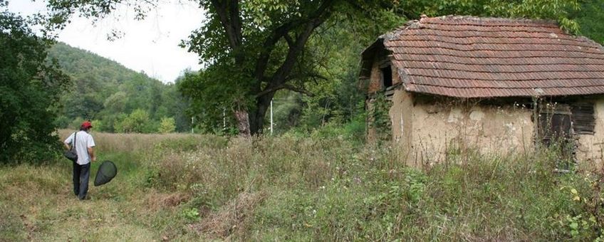 Vlinderen in Servie - primair