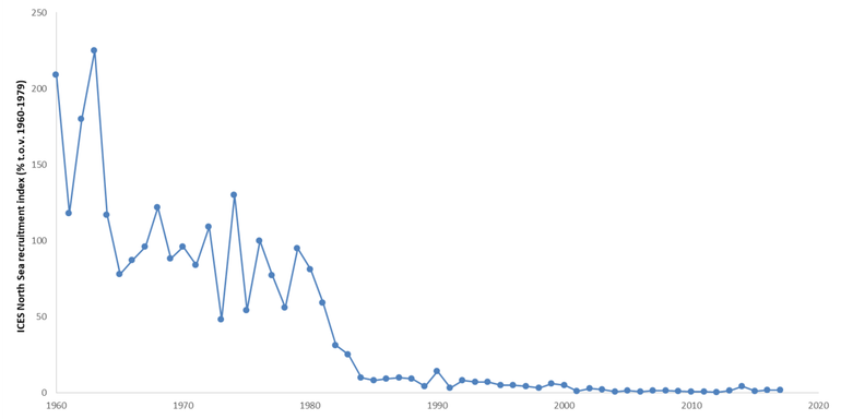 Internationale ICES trend voor de intrek van glasaal in de Noordzeeregio: percentages ten opzichte van het gemiddelde van 1960-1979