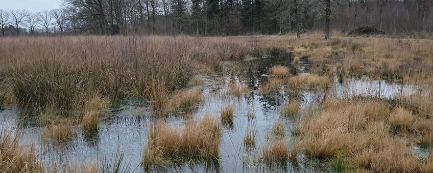 Hoogveenven met op de achtergrond een adderhotel