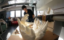 Pasha van Bijlert, Naturalis 3D-modelleur en anatoom Pasha van Bijlert met de 3D-print van Trix