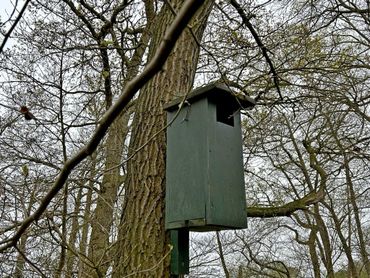 Nestkast voor brilduiker