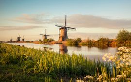 Brzozowska Windmolen in Kinderdijk