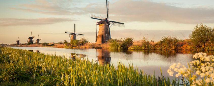 Windmolen in Kinderdijk