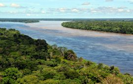 Neil Palmer, CIAT, Wikimedia Commons, CC BY-SA 2.0 Amazoneregenwoud