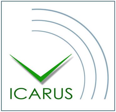 Project Icarus