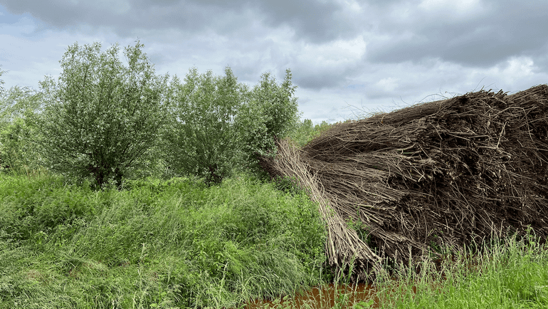 Jamin houdt 45 hectare hakgriend in stand en dat draagt direct bij aan een rijke biodiversiteit in het gebied