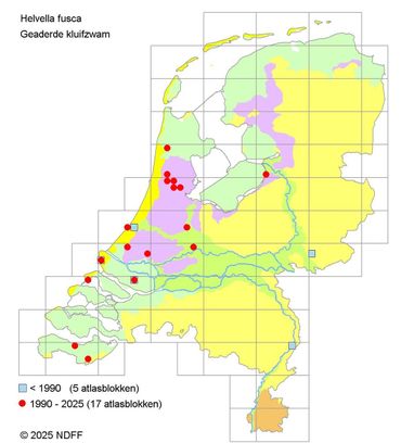 Verspreidingskaartje Geaderde kluifzwam