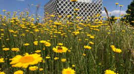 Natuurrijke campus Wageningen University & Research