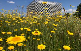 Natuurrijke campus Wageningen University & Research