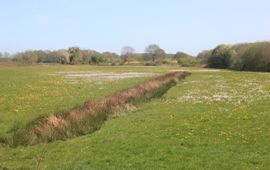 Veld bij landgoed De Velhorst