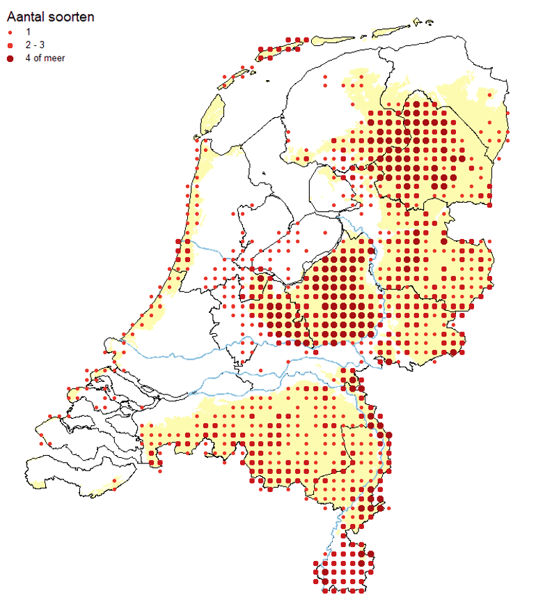 Hotspots reptielen. De zwaartepunten in de verspreiding van de Nederlandse reptielen correleren sterk met de stikstofgevoelige natuur van de hoge zandgronden en duinen. Aantal soorten reptielen in periode 2005-2020 zijn weergegeven in de toenemende stipgrootte voor 1, 2-3, 4 of meer soorten per uurhok. Fysisch-geografische regio’s 'Kustduinen' en 'Hoge zandgronden' zijn weergegeven in geel. Niet natuurlijke reptielenpopulaties, zoals diverse illegale introducties van ringslang, zijn niet opgenomen