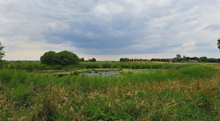 Eén van de testgebieden is het weidevogelgebied Kamperveen, waar Boerennatuur Noordwest Overijssel actief is