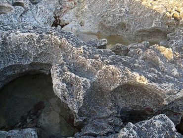 Salt water rock pools can be natural breeding places for some mosquitoes