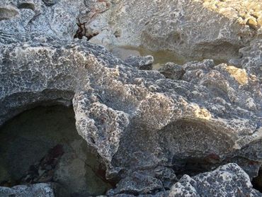 Rock pools with brackish water are natural breeding grounds for some mosquitoes