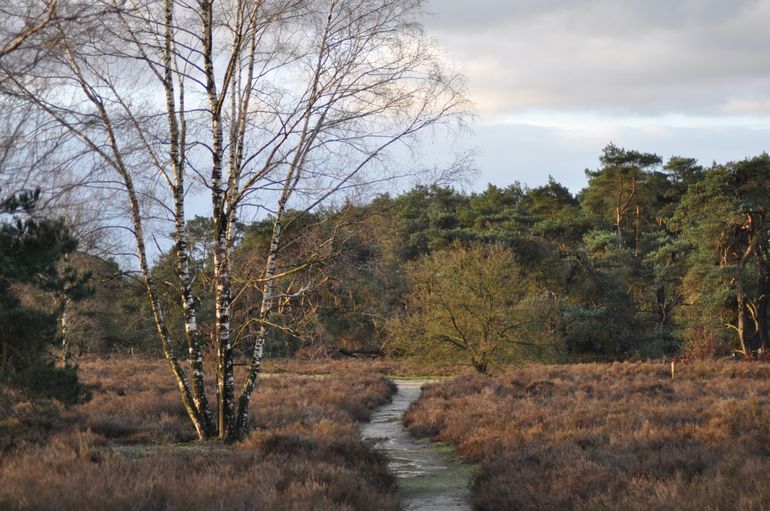 Het is geen straf om op dit soort plekken rond te moeten lopen