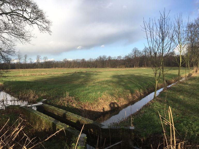 Sloten in de Pelterheggen