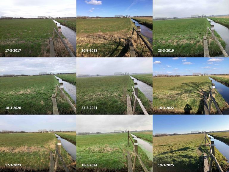 Verschil in ontwikkeling van de grasgroei in een weiland in het Binnenveld bij Wageningen rond 18 maart in de jaren 2017 tot en met 2025