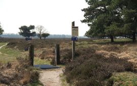 FREE Nature Matingerveld, Roeland Vermeulen