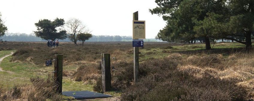 Matingerveld, Roeland Vermeulen