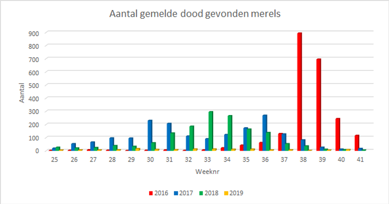 Figuur 1. Aantal bij Sovon en DWHC gemelde dode merels per week in 2016-2019 (week 25 2016: 20-26 juni; week 41 2016: 10-16 oktober)