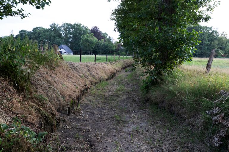 Het extreem droge weer van juli 2018 brengt veel beekvissen in de problemen