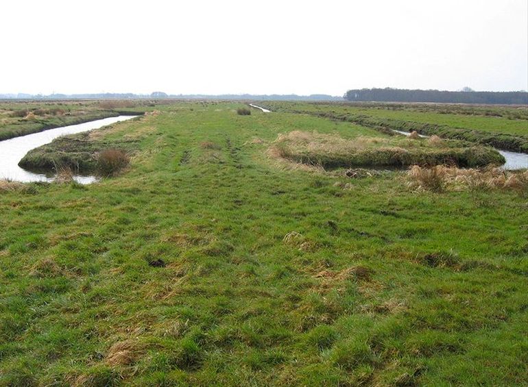 De Onlanden bestond voorheen voornamelijk uit grasland