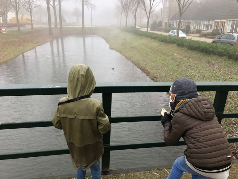 Vanaf de brug over de vijver heb je goed uitzicht