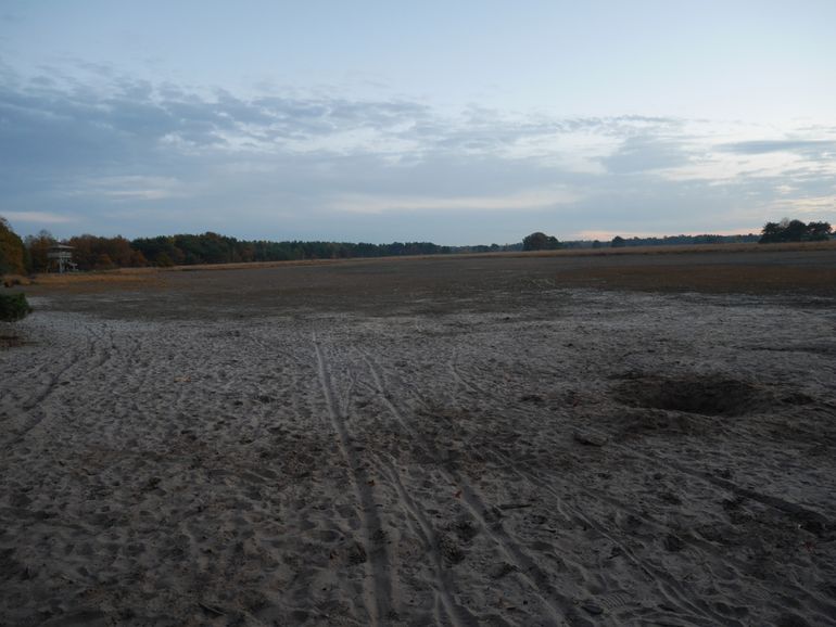 Bandensporen in het Wit-Hollandven dat eerder het hele jaar rond water bevatte