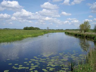 Water met natuurvriendelijke oevers