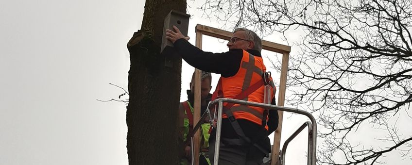 Gedeputeerde Ten Bolscher hangt nestkastje op