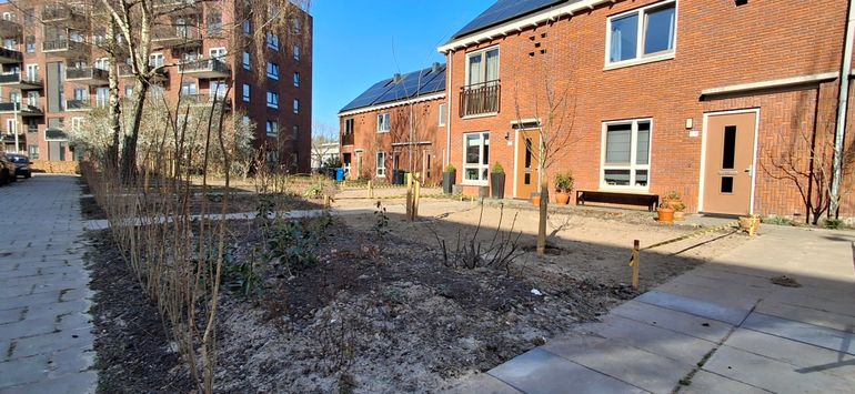Stadsoase Diezerhof tijdens het openingsfeest, de beplanting is net klaar