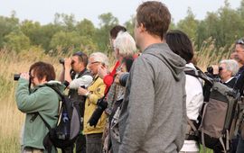 Albert de Jong/Sovon Excursie in de Biesbosch