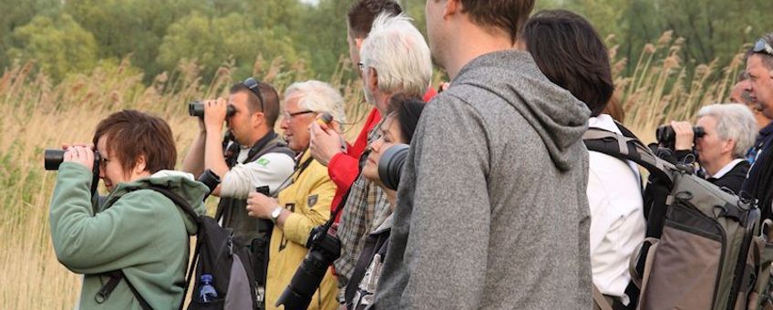 Excursie in de Biesbosch