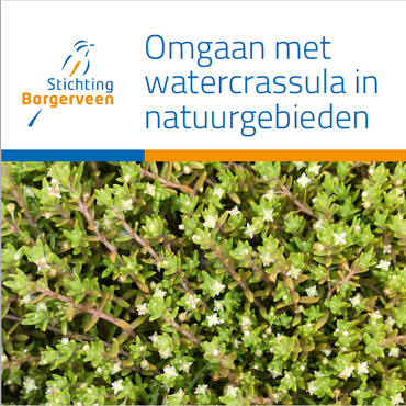 Brochure 'Omgaan met watercrassula in natuurgebieden'