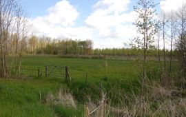 Natuurproject bij Geldermalsen