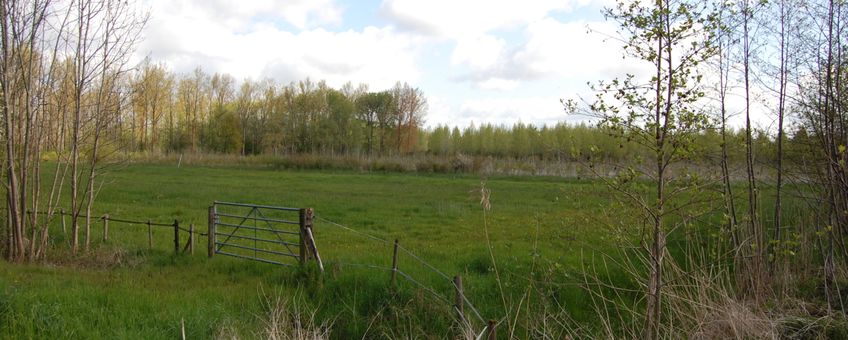 Natuurproject bij Geldermalsen