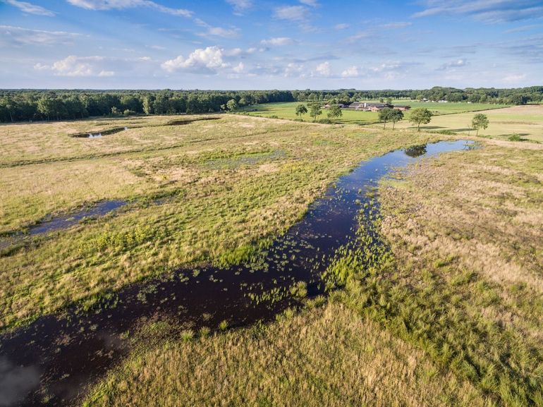  Het Kempen~Broek is van oorsprong een heel nat gebied. Vanaf het Kempens Plateau in Vlaanderen stroomt water via beken en doorstroommoerassen door het Grenspark. De natuur heeft hierdoor een uniek karakter en is waardevol als klimaatbuffer en leefgebied van soorten die van nat en weelderig houden, zoals de wielewaal, de boomkikker en de zwarte ooievaar